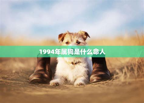 1994年 狗 五行|1994年属狗的是什么命，94年出生的狗五行属什么